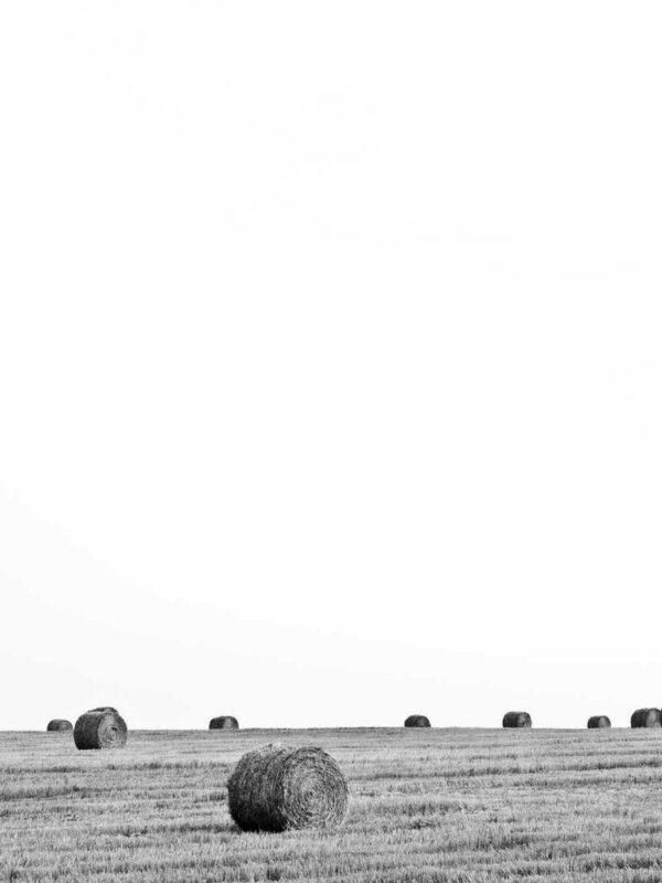 Saint Laurent Loulou Small — продано