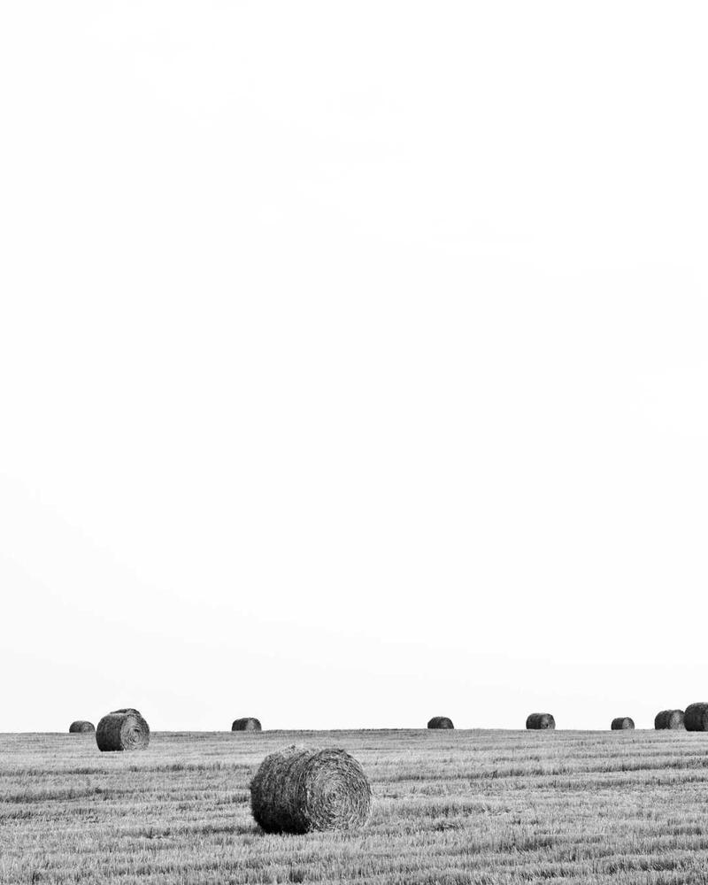 Saint Laurent Loulou Small — продано