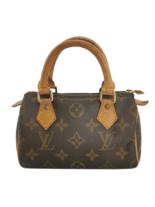 Louis Vuitton Speedy Monogram