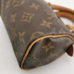 Louis Vuitton Speedy Monogram (Луи Виттон) — фото 11