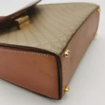 Celine Printed Calfskin Crossbody (Селин) — фото 10