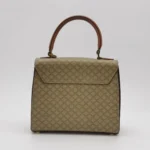 Celine Printed Calfskin Crossbody (Селин) — фото 4