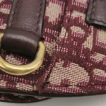 Dior Saddle Oblique (Диор) — фото 11