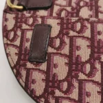 Dior Saddle Oblique (Диор) — фото 14