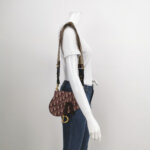 Dior Saddle Oblique — фото 2