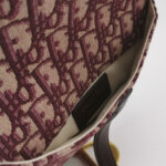 Dior Saddle Oblique — фото 6