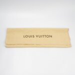 Louis Vuitton Roman — фото 14