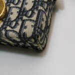 Dior 30 Montaigne Oblique CD — фото 15