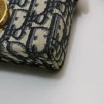 Dior 30 Montaigne Oblique CD (Диор) — фото 15
