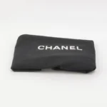 Chanel Leboy (Шанель) — фото 8