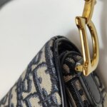 Dior Saddle Oblique — фото 10
