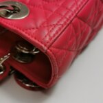 Dior Lady Dior Logo — фото 13