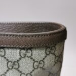 Gucci Ophidia G — фото 17