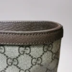 Gucci Ophidia G (Гуччи) — фото 17