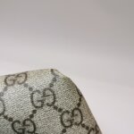 Gucci Ophidia G — фото 18