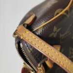 Louis Vuitton Speedy Nano Monogram — фото 12