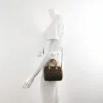 Louis Vuitton Speedy Nano Monogram (Луи Виттон) — фото 2