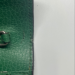 Gucci Dionysus — фото 11