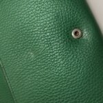 Gucci Dionysus — фото 14