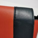 Celine Frame — фото 18