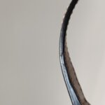 Celine Folco — фото 14