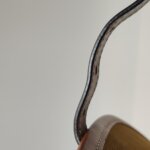 Celine Folco — фото 15