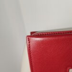 Celine Frame — фото 17