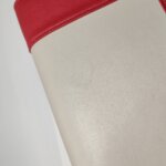 Celine Frame — фото 22