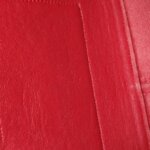 Celine Frame — фото 26