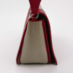 Celine Frame — фото 4