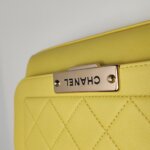 Chanel Flap Bag Logo — фото 12