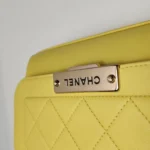 Chanel Flap Bag Logo (Шанель) — фото 12