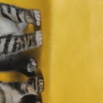 Balenciaga Logo Handbag — фото 21