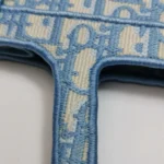 Dior Book Tote Oblique Logo (Диор) — фото 15
