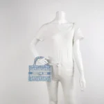 Dior Book Tote Oblique Logo (Диор) — фото 2