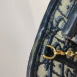 Dior 30 Montaigne Oblique CD (Диор) — фото 19