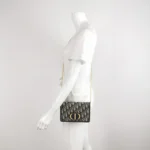 Dior 30 Montaigne Oblique CD (Диор) — фото 2