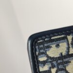 Dior 30 Montaigne Oblique CD — фото 23