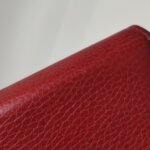 Gucci Dionysus — фото 17