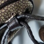 Celine Logo Shoulder Bag — фото 18