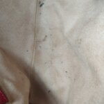 Gucci GG Marmont G — фото 9