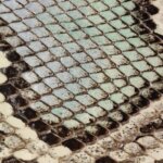 Gucci Horse Bit — фото 15