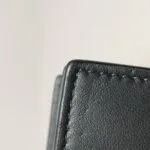 Celine Frame Logo — фото 15