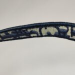 Dior Saddle Oblique — фото 10