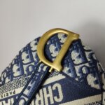 Dior Saddle Oblique — фото 11