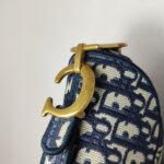 Dior Saddle Oblique — фото 12