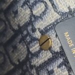 Dior Saddle Oblique — фото 13