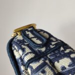 Dior Saddle Oblique — фото 14