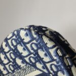 Dior Saddle Oblique — фото 15