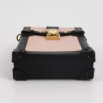 Louis Vuitton Trunk Vertical S-lock — фото 6